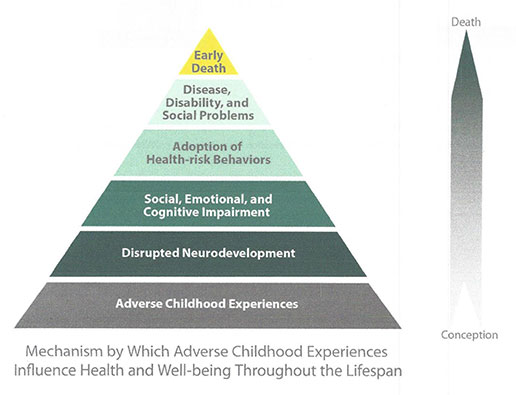 Mechanism by Which Adverse Childhood Experiences Influence Health and Well-being Throughout the Lifespan